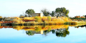 新疆巴楚红海湿地公园