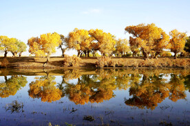 新疆巴楚红海湿地公园