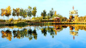 新疆巴楚红海湿地