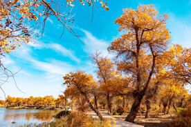 新疆巴楚红海湿地