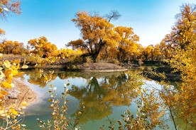 新疆巴楚红海湿地