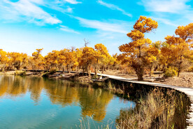 新疆巴楚红海湿地
