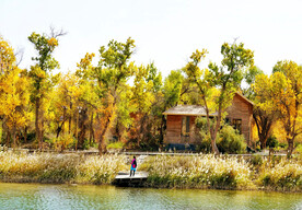 新疆巴楚红海湿地公园