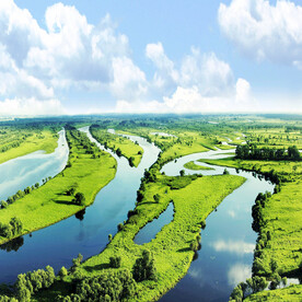 黑龙江珍宝岛湿地
