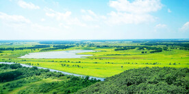 黑龙江珍宝岛湿地