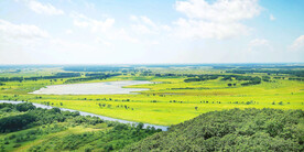 黑龙江珍宝岛湿地