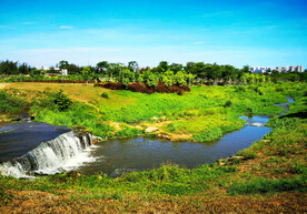 海南海口五源河湿地