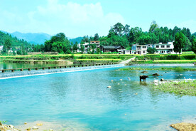 贵州洪渡河湿地