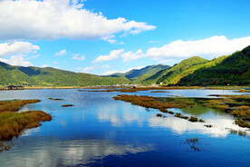 云南腾冲北海湿地