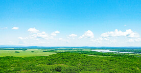 黑龙江珍宝岛湿地
