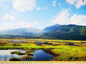 云南腾冲北海湿地