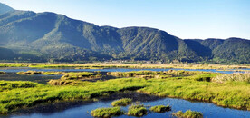 云南腾冲北海湿地