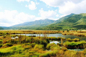云南腾冲北海湿地