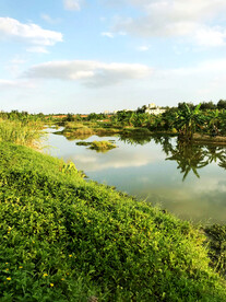 海南海口五源河湿地