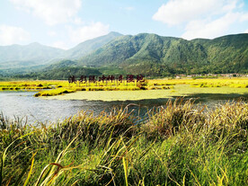 云南腾冲北海湿地