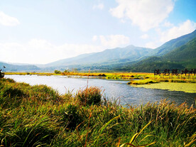 云南腾冲北海湿地