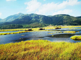 云南腾冲北海湿地