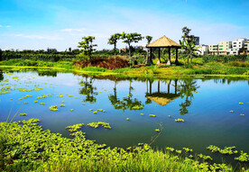 海南海口五源河湿地