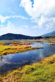 云南腾冲北海湿地