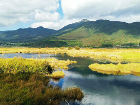 云南腾冲北海湿地