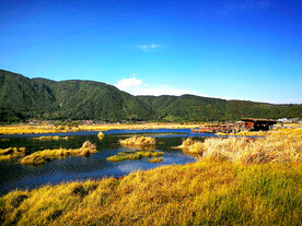 云南腾冲北海湿地