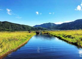 云南腾冲北海湿地