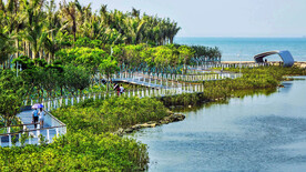 海南海口五源河湿地