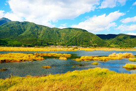 云南腾冲北海湿地