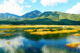 云南腾冲北海湿地
