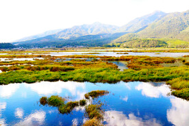 云南腾冲北海湿地