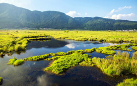 云南腾冲北海湿地