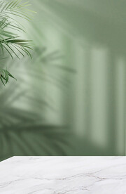 树叶投影绿色桌子场景