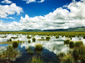 四川若尔盖湿地