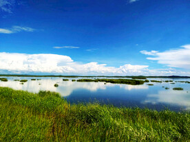 四川若尔盖湿地