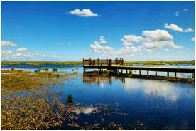 四川若尔盖湿地