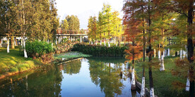 广西靖西湿地公园