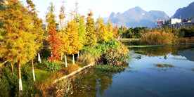 广西靖西湿地公园