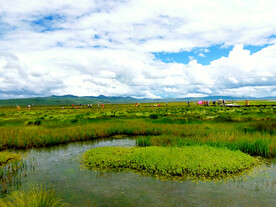 四川若尔盖湿地