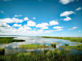 四川若尔盖湿地