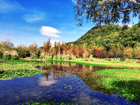 贵州花溪十里河滩湿地