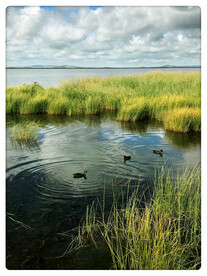 四川若尔盖湿地