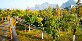 广西靖西湿地公园