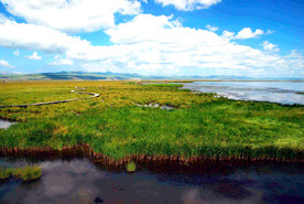 四川若尔盖湿地