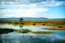 四川若尔盖湿地