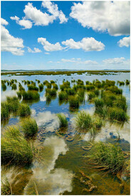 四川若尔盖湿地