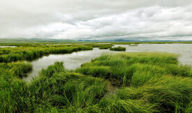 四川若尔盖湿地