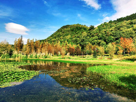 贵州花溪十里河滩湿地