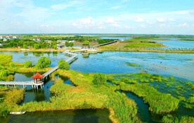 江苏溱湖国家湿地公园