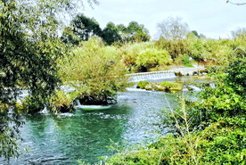 贵州花溪十里河滩湿地