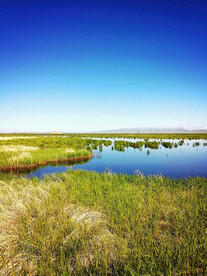 四川若尔盖湿地